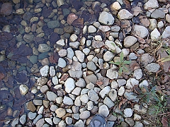 23 Shiawassee National Wildlife Refuge [2008 Nov 5]